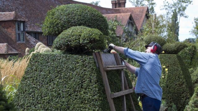 garten_instandhaltung_hamburg https://mlyuqa4iedoh.i.optimole.com/cb:B-cq~35cee/w:640/h:360/q:mauto/f:best/ig:avif/https://frantzis-sohn.de/wp-content/uploads/2020/06/garten_instandhaltung_hamburg.jpg