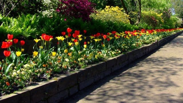 pflanzarbeiten_hamburg Gärtner Hamburg